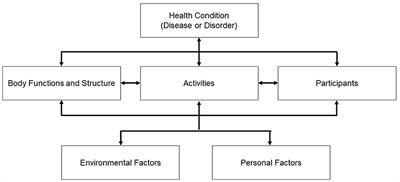 Development and implementation of a rehabilitation triage algorithm for disasters in the subacute phase: an experience from the 2024 Noto peninsula earthquake
